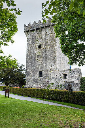 Blarney Castle -3