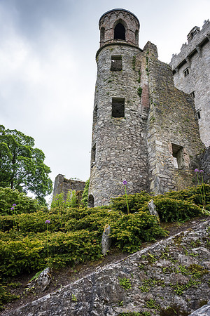 Blarney Castle -7
