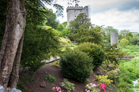 Blarney Castle Gardens -12