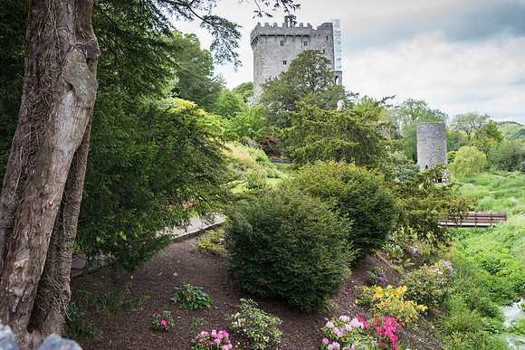 Blarney Castle Gardens -12