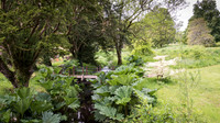 Blarney Castle Gardens -10