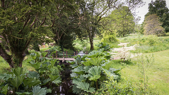 Blarney Castle Gardens -10