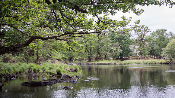 Killarney National Park - Meeting of the Waters