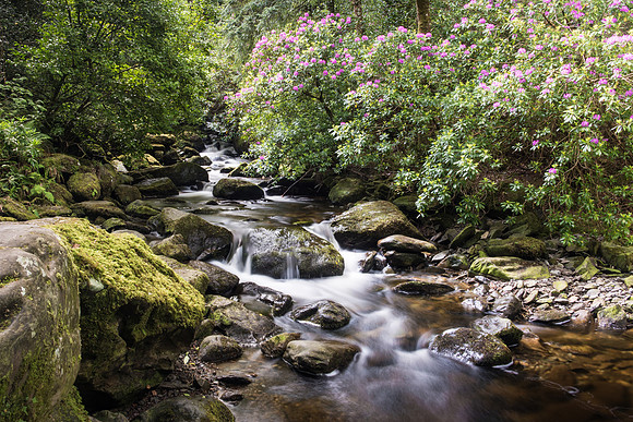 Killarney National Park - Torc Waterfall -4