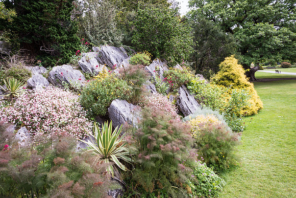 Killarney National Park - Muckross House Gardens -1