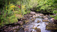 River Meelagh