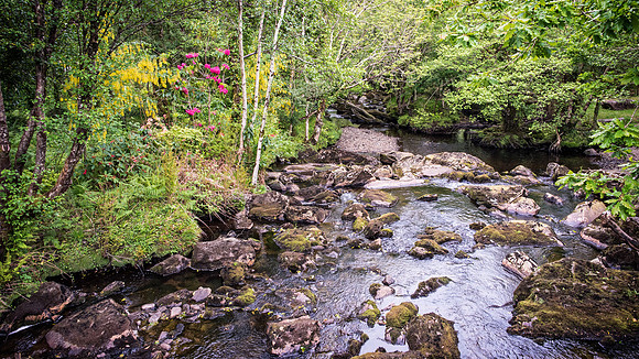 River Meelagh