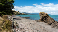Coromadel Peninsula -1