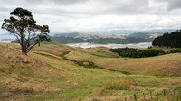 Coromadel Peninsula -4