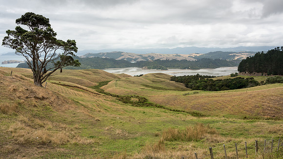 Coromadel Peninsula -4