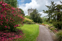 Blarney Castle Gardens -4