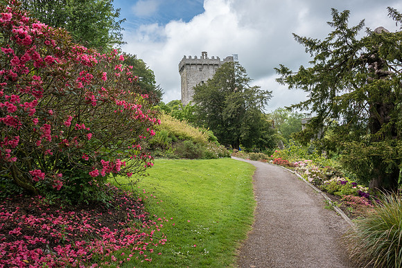 Blarney Castle Gardens -4