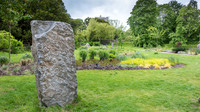 Blarney Castle Gardens -7