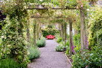 Blarney Castle Gardens -14