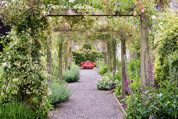 Blarney Castle Gardens -14