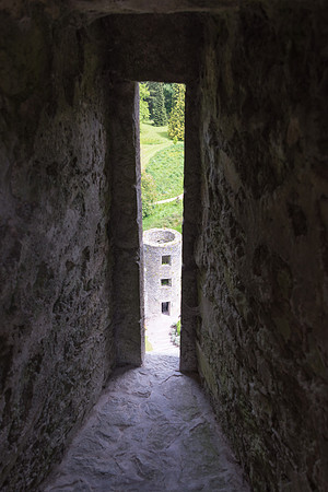 Blarney Castle -6