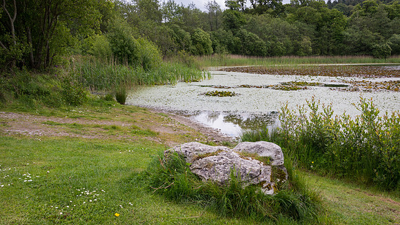 Blarney Castle Gardens -2