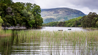 Killarney National Park - Muckross Lake -3