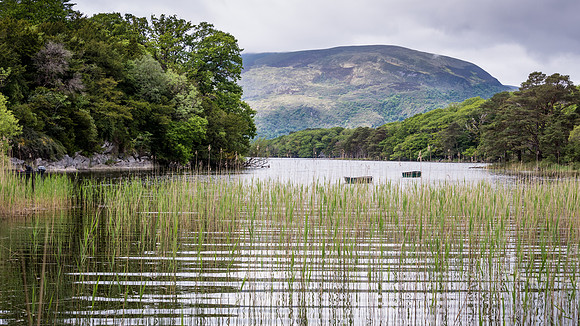 Killarney National Park - Muckross Lake -3