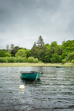 Killarney National Park - Muckross Lake -2