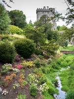 Blarney Castle Gardens -11