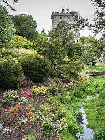 Blarney Castle Gardens -11