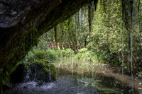 Blarney Castle Gardens -6
