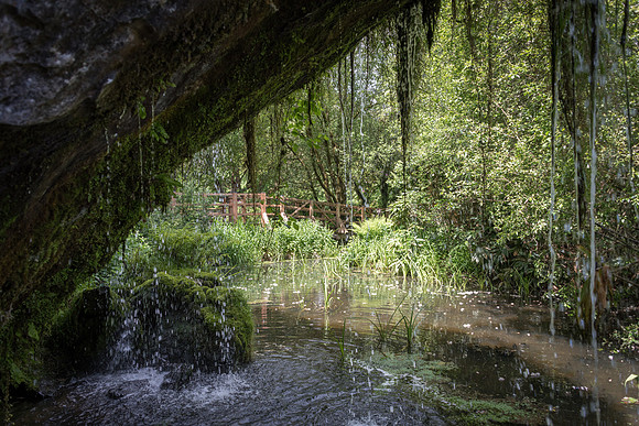 Blarney Castle Gardens -6