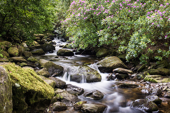 Killarney National Park - Torc Waterfall -3