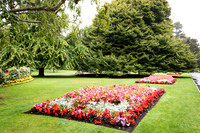Botanical Gardens -1