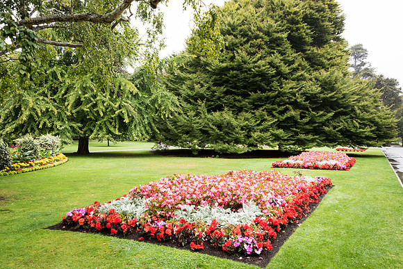 Botanical Gardens -1