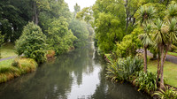 Botanical Gardens -2