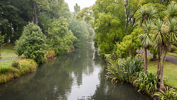 Botanical Gardens -2