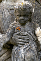 Buckfast Abbey Garden -3