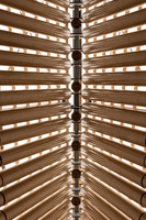 Cardboard Cathedral -7