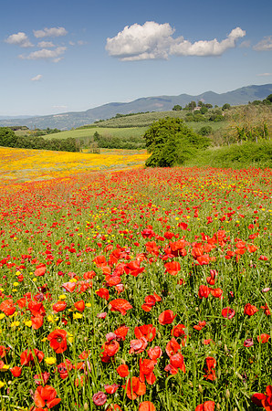 Central-Italy-2