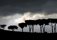 Around-Orvieto-1