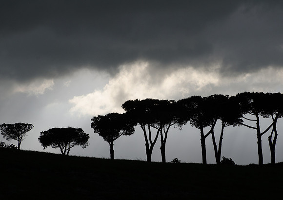 Around-Orvieto-1