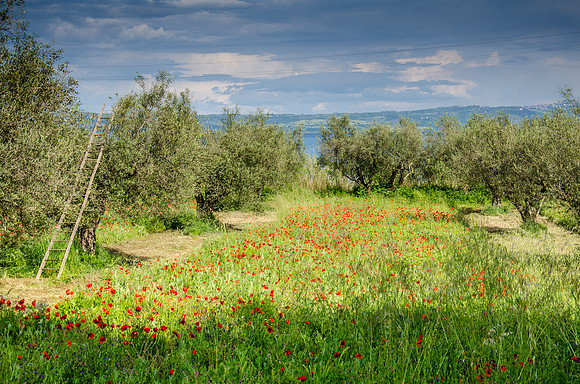 Around-Lake-Bolsena-5