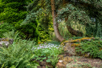Compton Acres -19