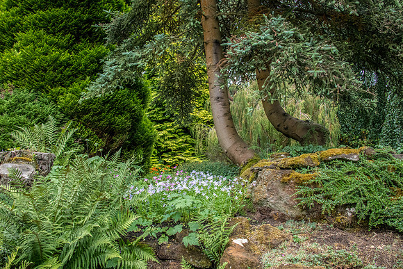 Compton Acres -19