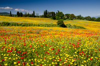 Central-Italy-5