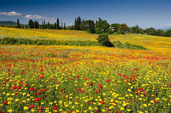 Central-Italy-5