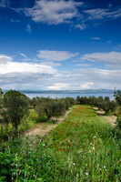 Around-Lake-Bolsena-4
