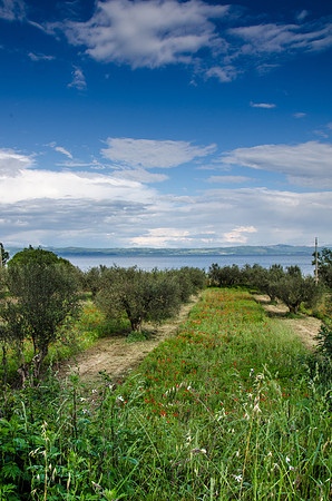 Around-Lake-Bolsena-4