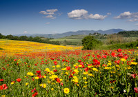 Central-Italy-3