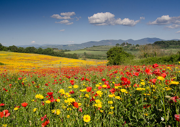 Central-Italy-3