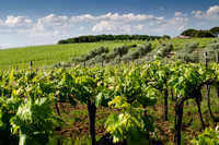 Central-Italy-6