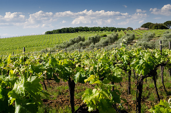 Central-Italy-6