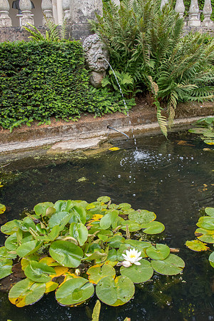 Compton Acres -11